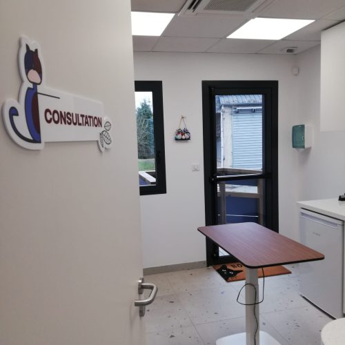 Consultation Center